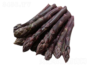 ��ɫ����-�J�S�N��-��T�S�r(n��ng)�I(y��)