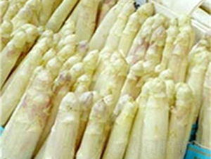 2000-5F1-�J�S�N��-��T�S�r(n��ng)�I(y��)