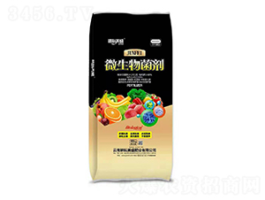 ΢�������-������ʢ