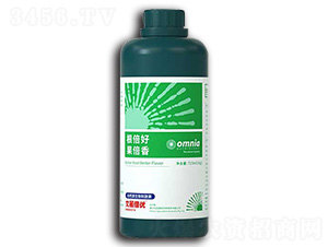 ��ȻԴ����̼���-��������(y��u)-������