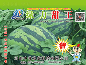 �G������-���ϷN��-�����r(n��ng)�I(y��)