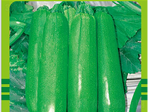 �W¹��̖-�S�ϷN��-�����r(n��ng)�I(y��)