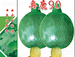 奧鹿90-西葫蘆種子-中升農(nóng)業(yè)