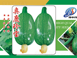 奧鹿珍寶-西葫蘆種子-中升農業(yè)