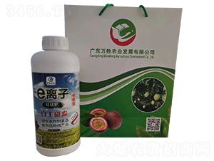 e�x�ӹ�⁷�-�f(w��n)���r(n��ng)�I(y��)