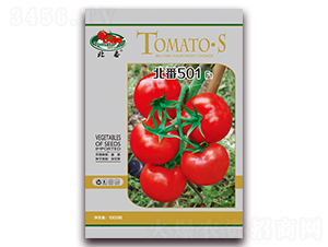 ����501F1-�t�����ѷN��-����