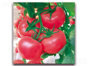 ���m3̖-�۹����ѷN��-����