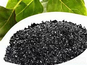 ��ֳ���-�G�S