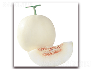 �ձ���ɯ-��ϷN��-��ʢԪ