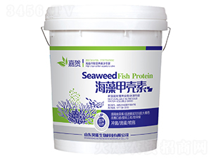 ����ך���-���R-ؐ������