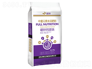 ���\�}�V�F-���R-ؐ������ 