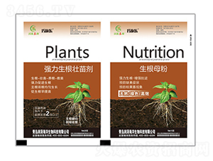 �����������焩+����ĸ��-��ʩ��-ؐ������