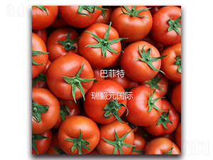 �ͷ���-�t�����ѷN��-��ʢԪ