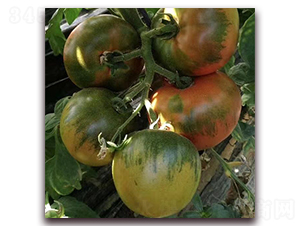 �`����-��ϷN��-��ʢԪ