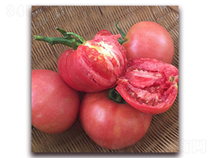 �����۷�-���ѷN��-��ʢԪ