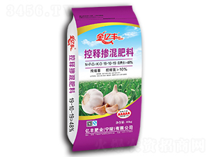 ��ጓ������19-10-19-�|�S�ʘI(y��)