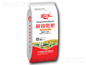 ���@����28-0-0-�|�S�ʘI(y��)