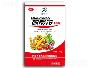 �����@�w��-���D��-�¿�˹