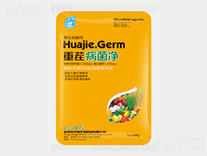 �ز粡����-�A������