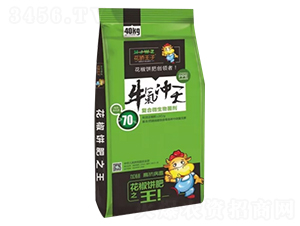 70%復(fù)合微生物菌劑-牛氣沖天-豐根