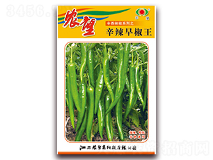 �����罷��-�⽷�N��-�r(n��ng)��