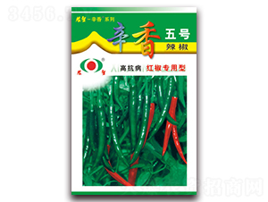 ����5̖(h��o)-�⽷�N��-�r(n��ng)��