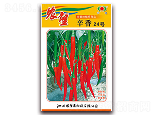 ����24̖-�⽷�N��-�r(n��ng)��