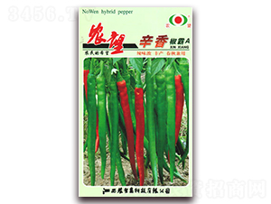 ���㽷��A-�����N��-�r(n��ng)��