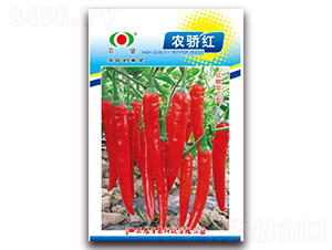 �r(n��ng)�t-�����N��-�r(n��ng)��