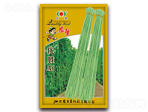 ��(y��u)��A6-�����N��-�r(n��ng)��