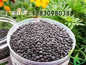 �������-���~��