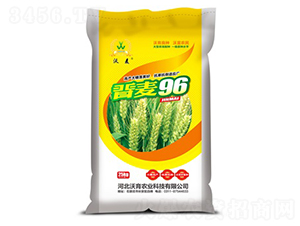 �x��96-С���N��-�����r(n��ng)�I(y��)