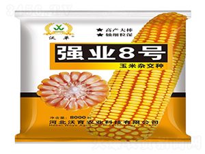 ��(qi��ng)�I(y��)8̖-���׷N��-�����r(n��ng)�I(y��)