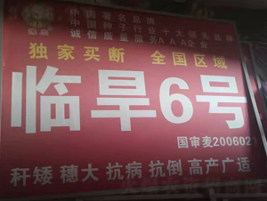 �R��6̖-С���N��-�����r(n��ng)�I(y��)