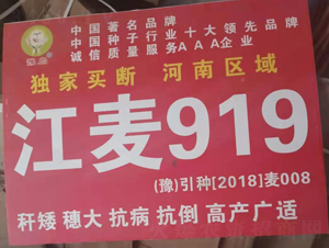 ����919-С���N��-�����r(n��ng)�I(y��)