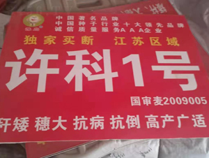 �S��1̖-С���N��-�����r(n��ng)�I(y��)