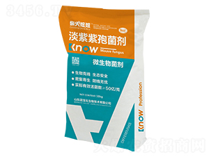 淡紫紫孢菌劑-柴火妞妞-藍寶石