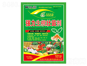 �����������焩-�A������