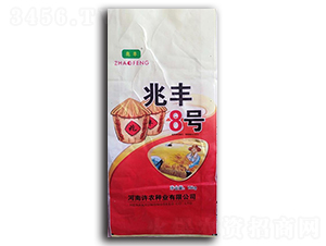 ���S8̖-С���N��-���S