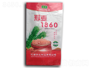 ����1860-С���N��-���S