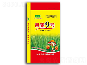 ����9̖-С���N��-���S