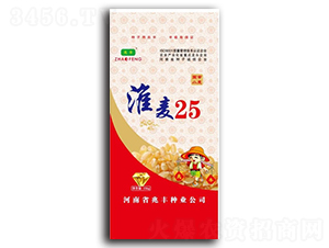 ����25-С���N��-���S