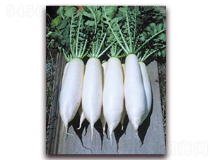 ���°�-����}���N��-���r(n��ng)���v