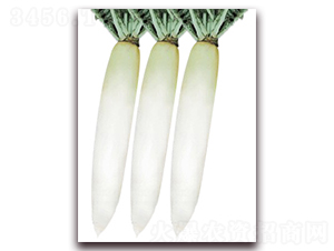 ����-����}���N��-���r(n��ng)���v