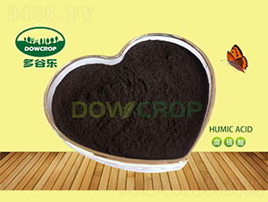 ��ֲ��ԭ��-��Ș�(l��)