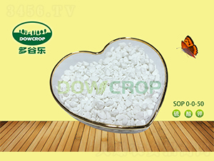 �w�������SOP0-0-50-��Ș�(l��)