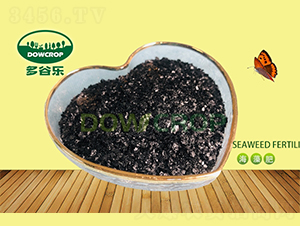 Ƭ�����ȡ��-��Ș�