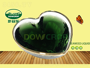 Һ�w�����-��Ș�