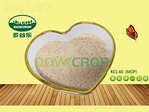 �Ȼ�⛷�ĩKCL60-��Ș�