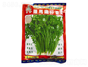 �_�R�F�U���-��˷N��-�ꂥ�N�I(y��)